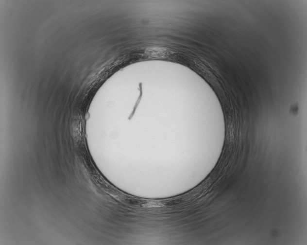 X0000115700603200912031507