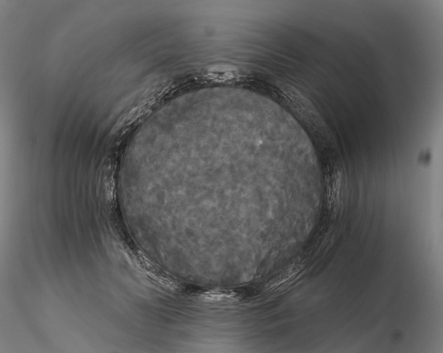 X0000115700606200912031507