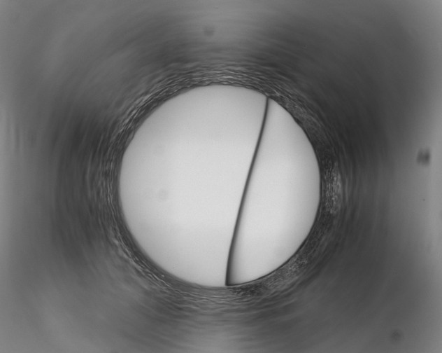 X0000115700608200912031507