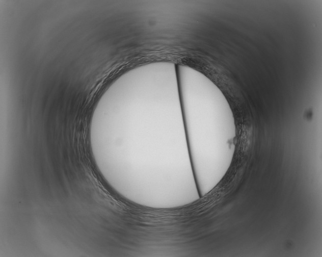 X0000115700612200912031507