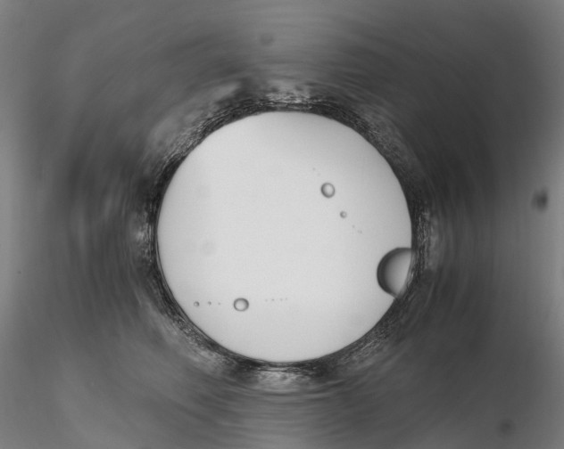 X0000115700614200912031507