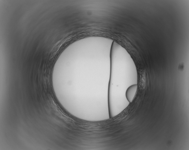 X0000115700616200912031507