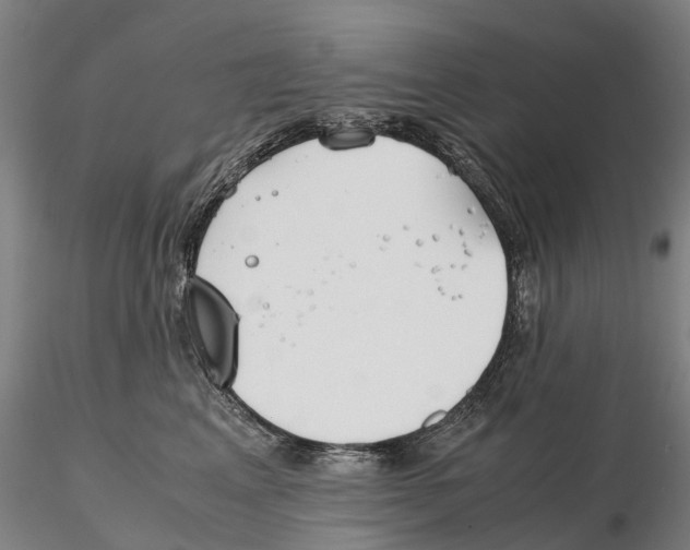 X0000115700617200912031507