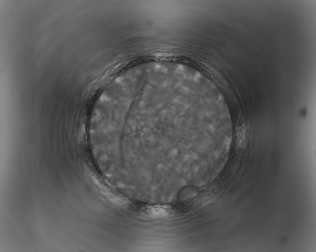 X0000115700618200912031507