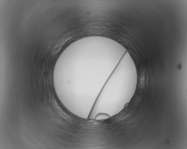 X0000115700620200912031507