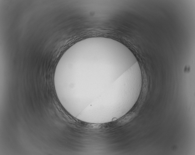 X0000115700624200912031507