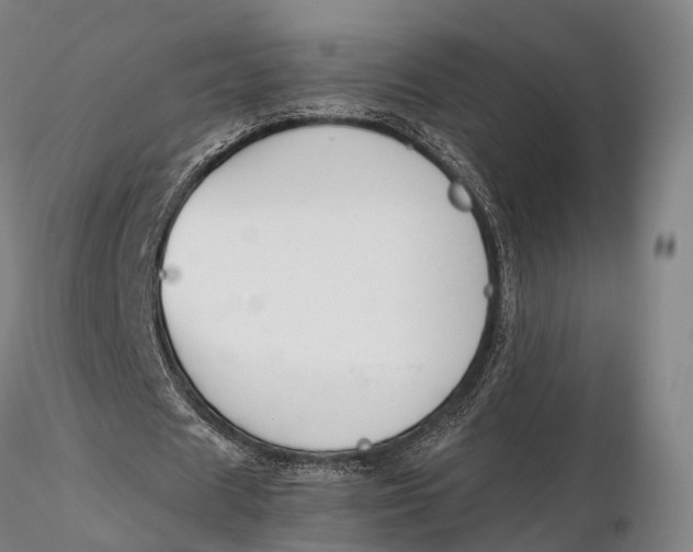 X0000115700625200912031506