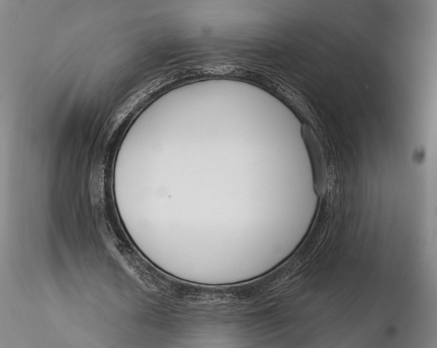 X0000115700626200912031506