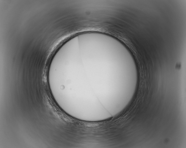 X0000115700628200912031506