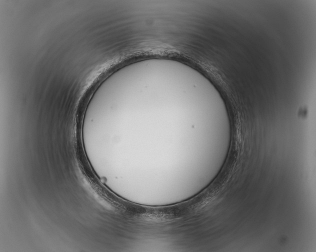 X0000115700630200912031506