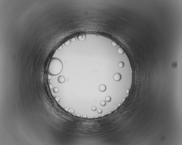 X0000115700631200912031506