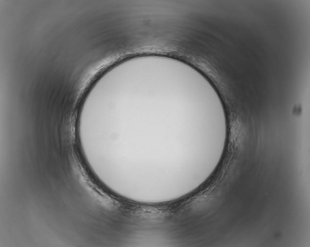 X0000115700632200912031506