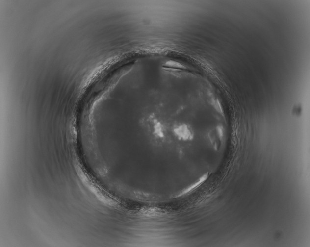 X0000115700634200912031506