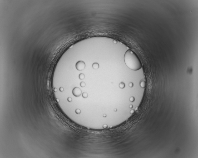 X0000115700635200912031506