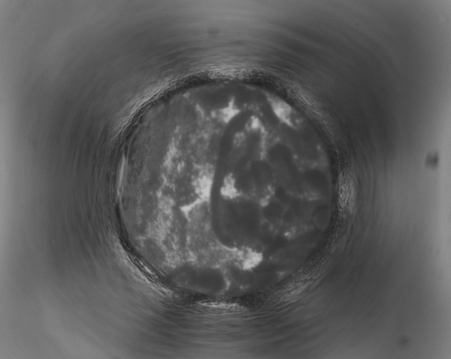 X0000115700637200912031506