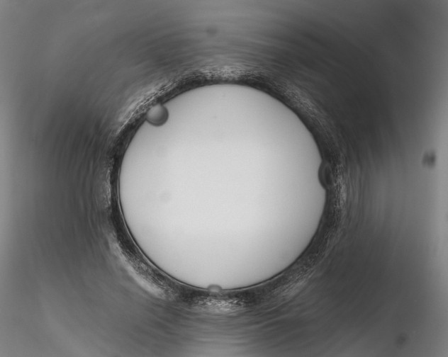 X0000115700638200912031506