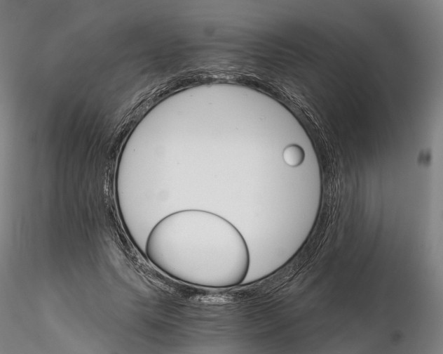 X0000115700639200912031506