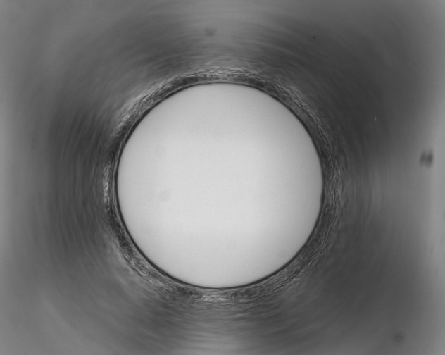 X0000115700640200912031506