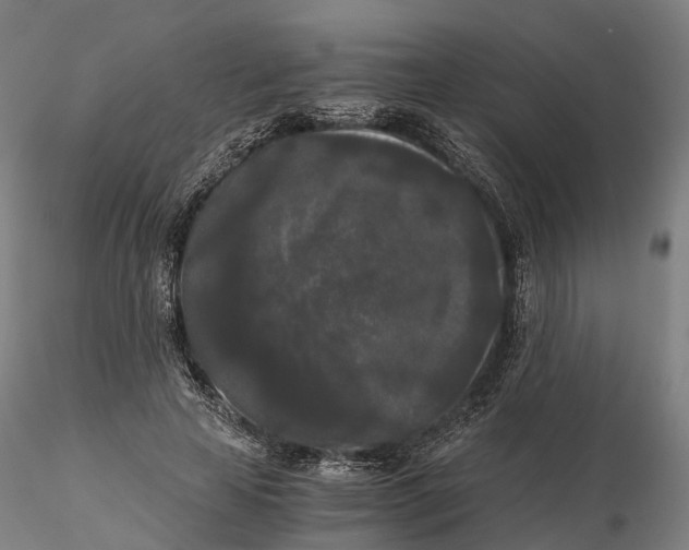 X0000115700641200912031506