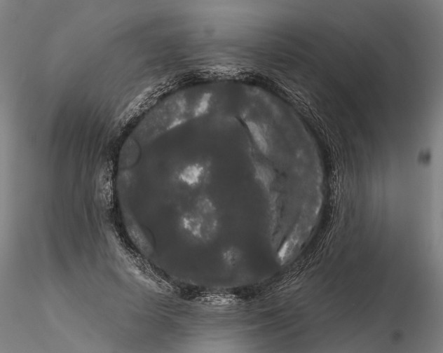 X0000115700642200912031506