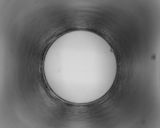 X0000115700643200912031506