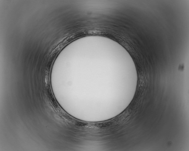 X0000115700648200912031506