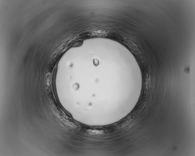 X0000115700649200912031506