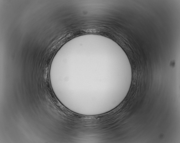 X0000115700652200912031506