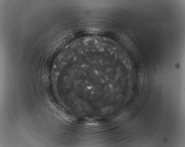 X0000115700653200912031506