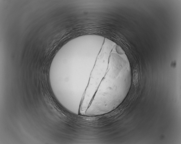 X0000115700655200912031506