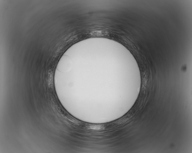 X0000115700659200912031506