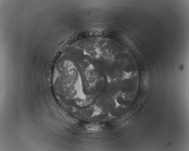 X0000115700661200912031506