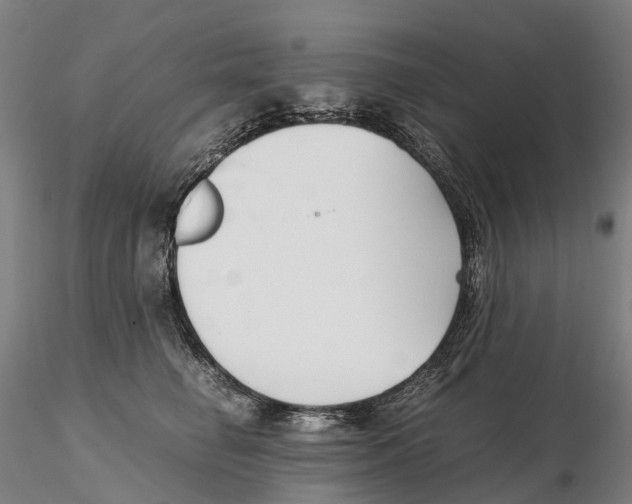 X0000115700662200912031506