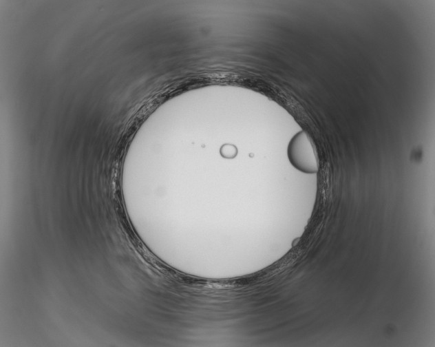 X0000115700664200912031506