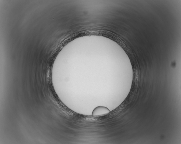 X0000115700668200912031506