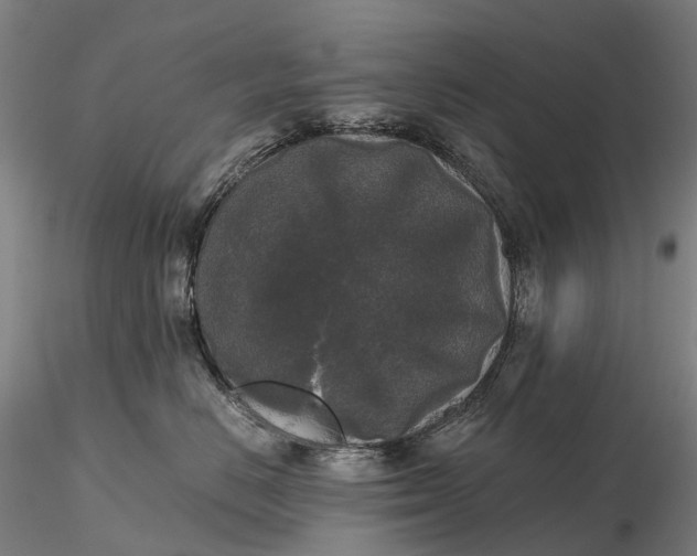 X0000115700670200912031506