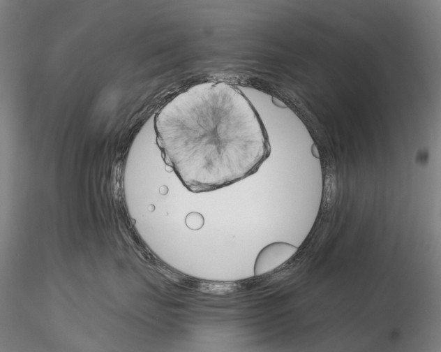 X0000115700671200912031507