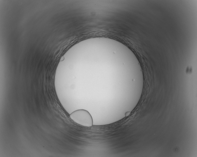 X0000115700672200912031507