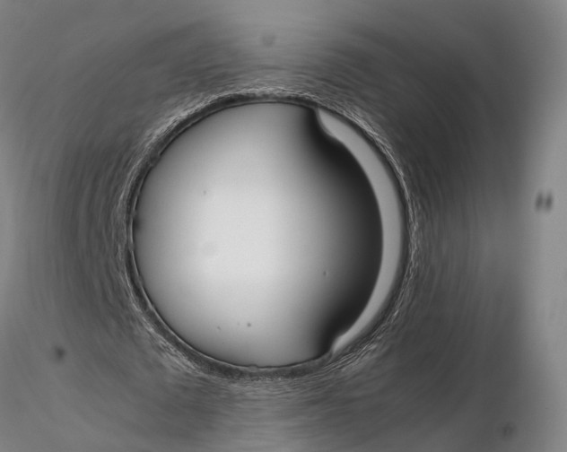 X0000115700673200912031506