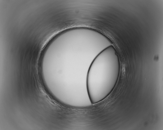 X0000115700676200912031506