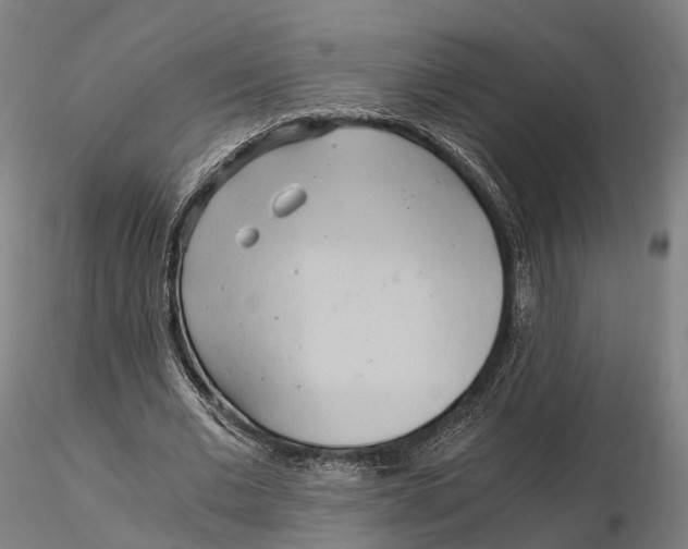 X0000115700677200912031506