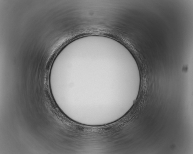 X0000115700679200912031506