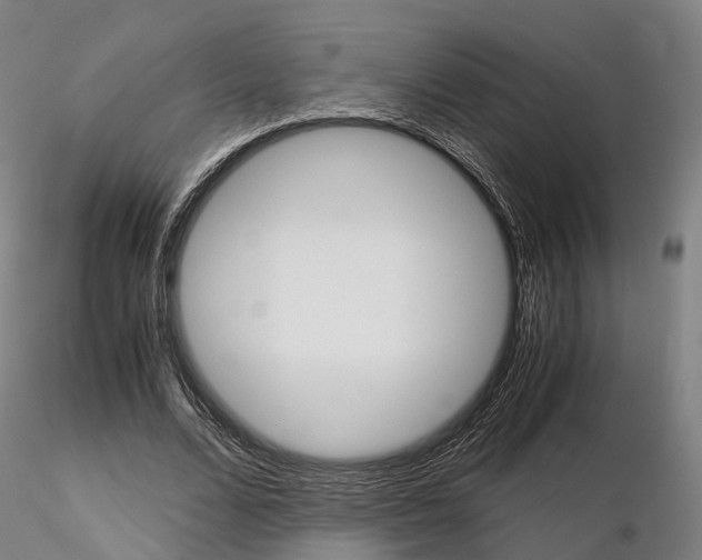 X0000115700680200912031506