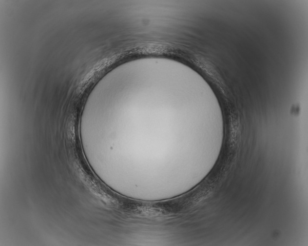 X0000115700681200912031506