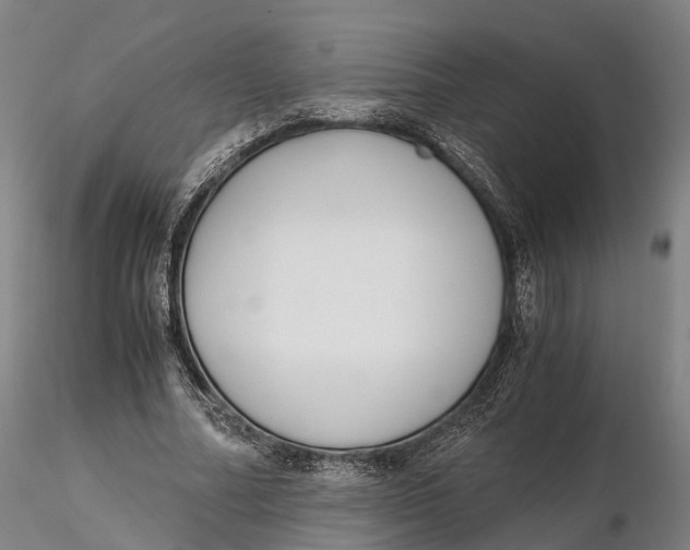 X0000115700682200912031506