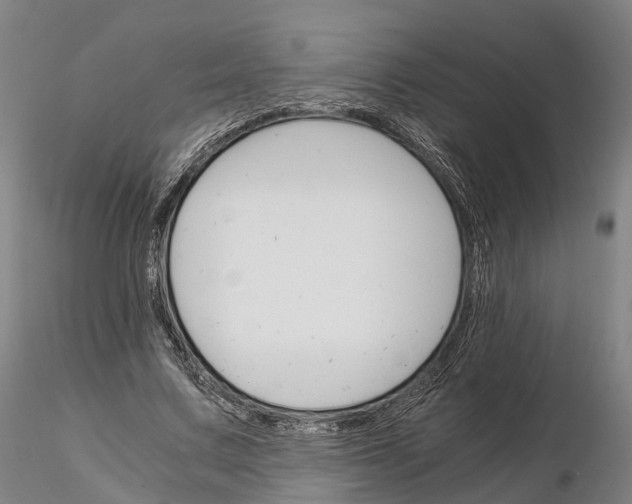 X0000115700683200912031506