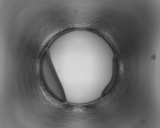 X0000115700684200912031506