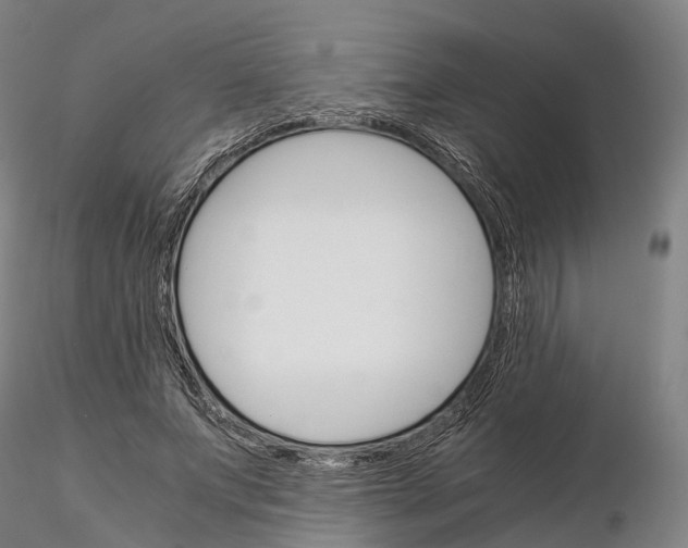 X0000115700687200912031505