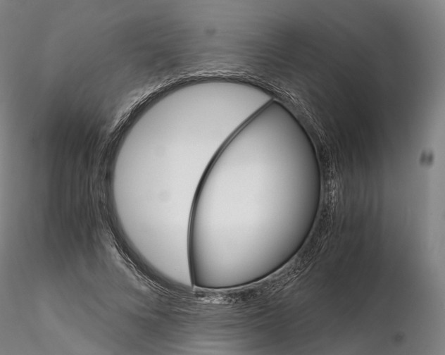 X0000115700688200912031505