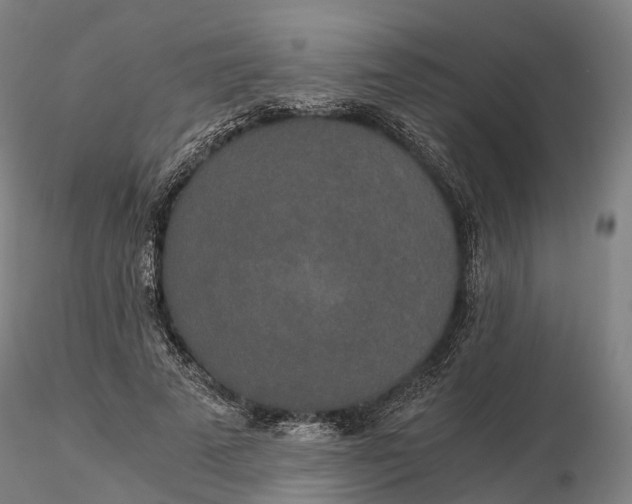 X0000115700689200912031505